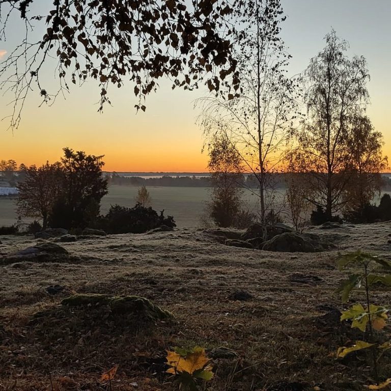 Utsikten över Färed